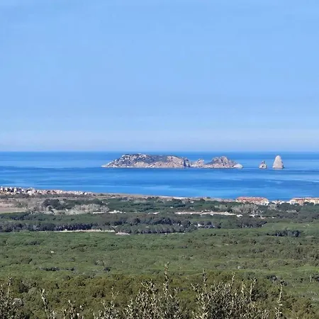 Petit - Torrent *