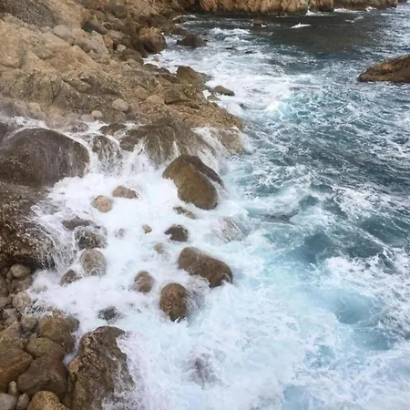 Petit - Torrent *