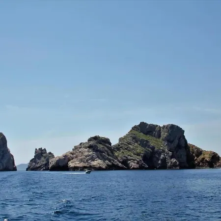 Petit - Torrent